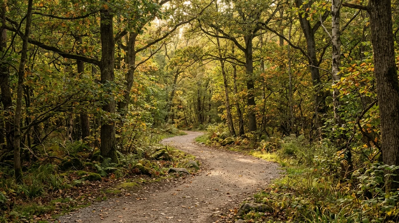 Transformative How to Improve Yourself in Easy Steps Inspired by Robin Sharma inspiration image 7